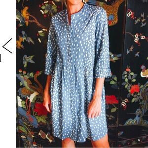 Tuckernuck Royal Shirt Dress Blue Antelope